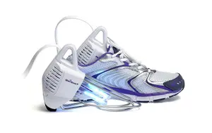 sterishoe_in_shoe